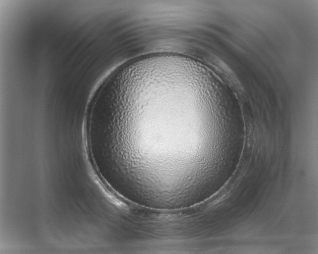 X0000071830796200606301317