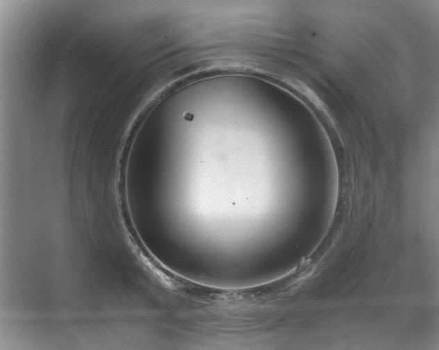 X0000071830799200606301317