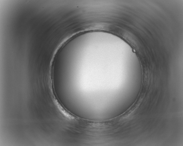 X0000071830800200606301317