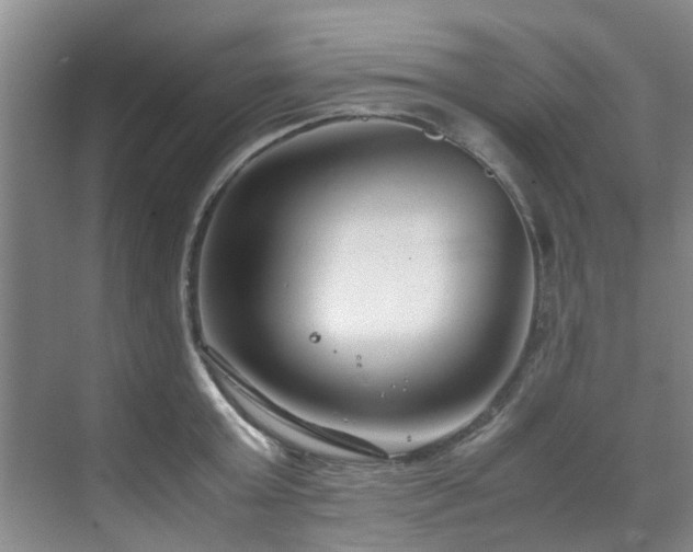 X0000071830803200606301317