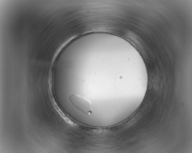 X0000071830804200606301317