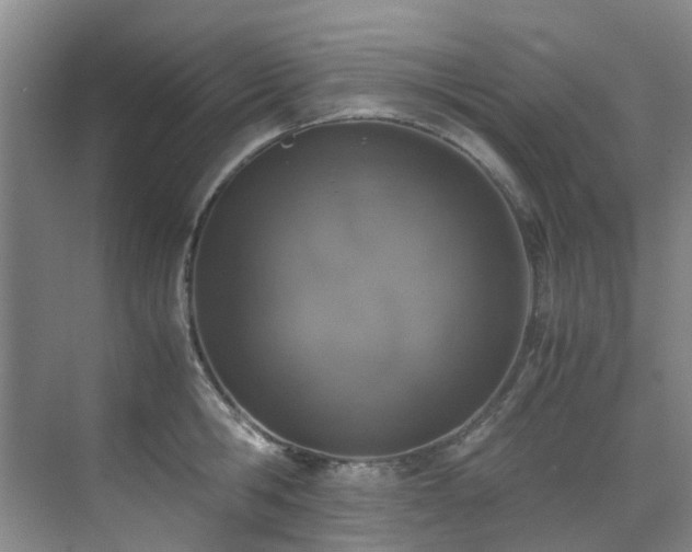 X0000071830806200606301317