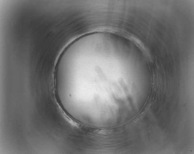 X0000071830808200606301317