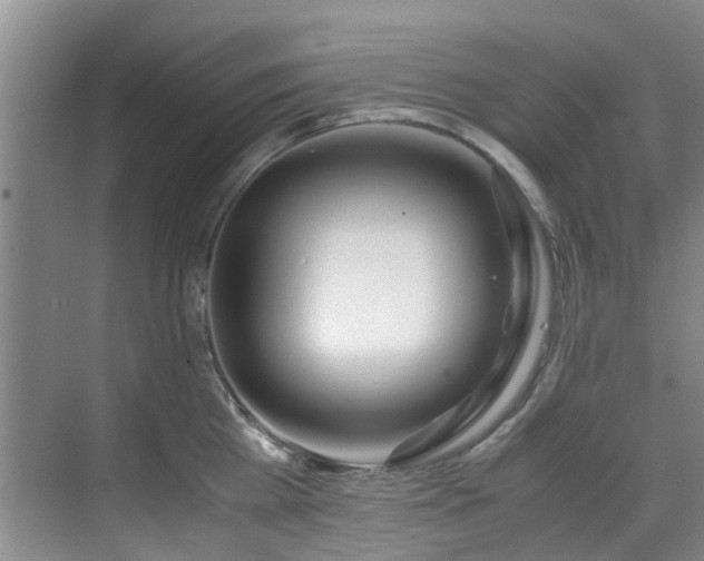 X0000071830809200606301317