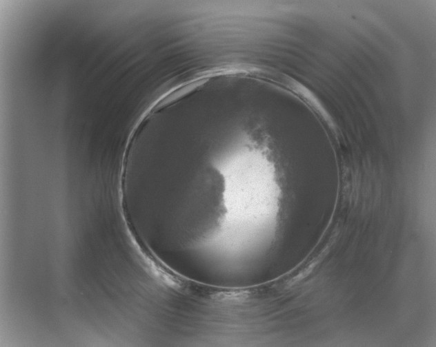 X0000071830810200606301317