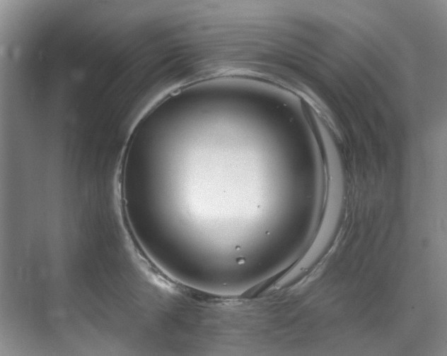 X0000071830814200606301317