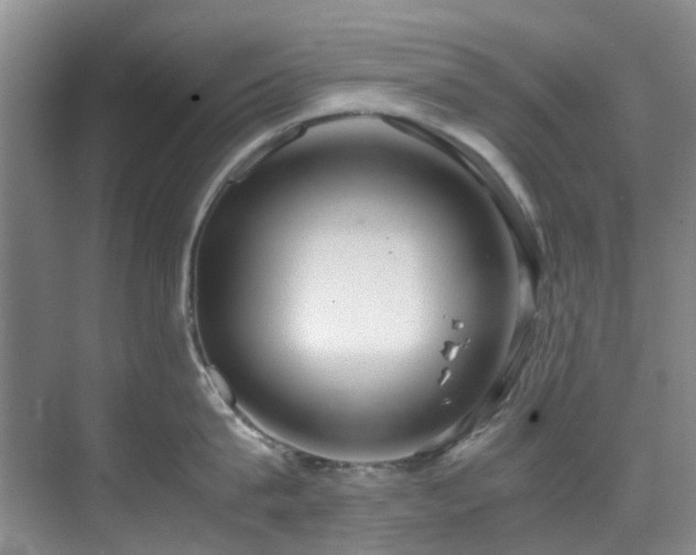 X0000071830815200606301317