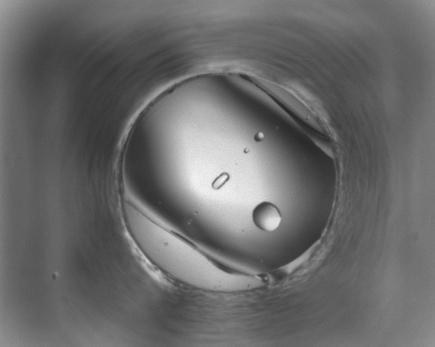 X0000071830816200606301317