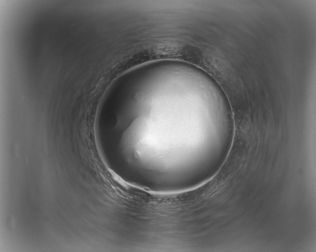 X0000071830817200606301316