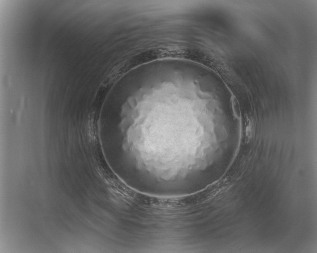 X0000071830819200606301316