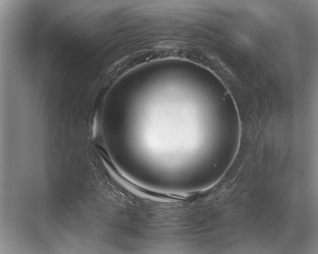 X0000071830821200606301316