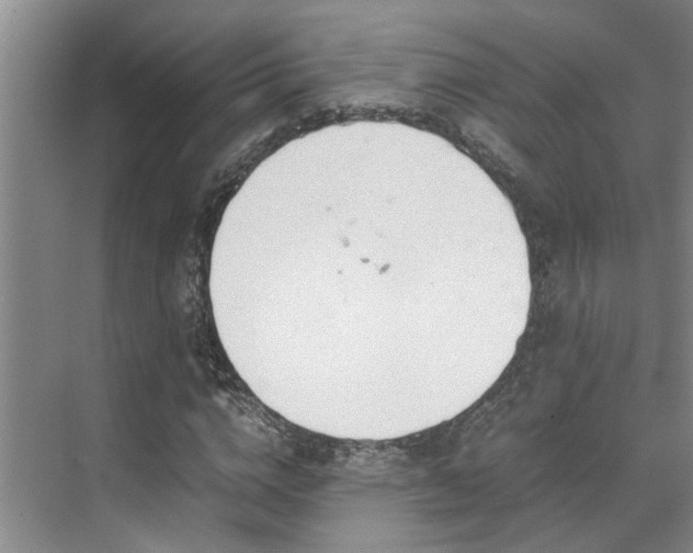 X0000071830824200606301316