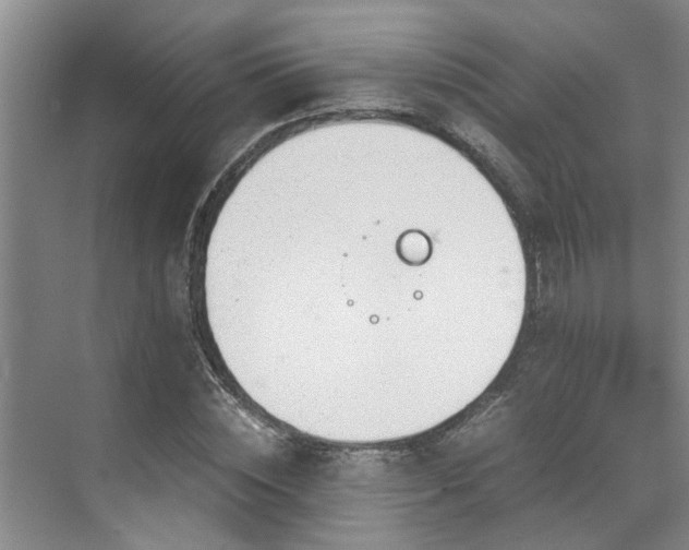 X0000071830828200606301316