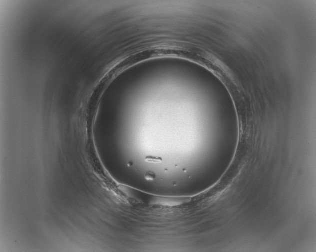 X0000071830829200606301316