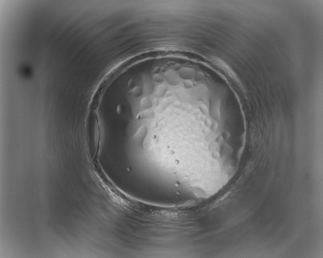 X0000071830831200606301316