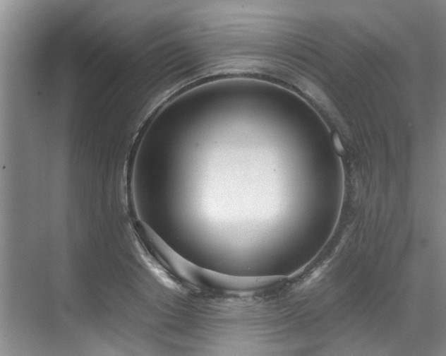 X0000071830842200606301317