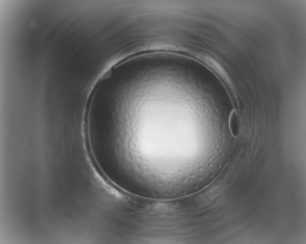 X0000071830847200606301317