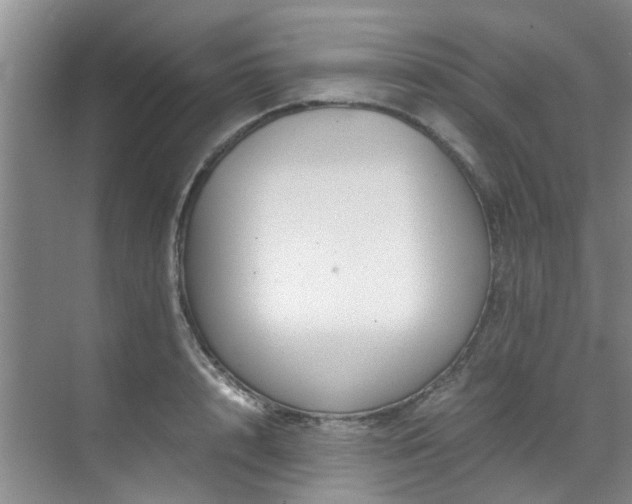 X0000071830848200606301317