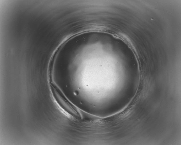 X0000071830851200606301317