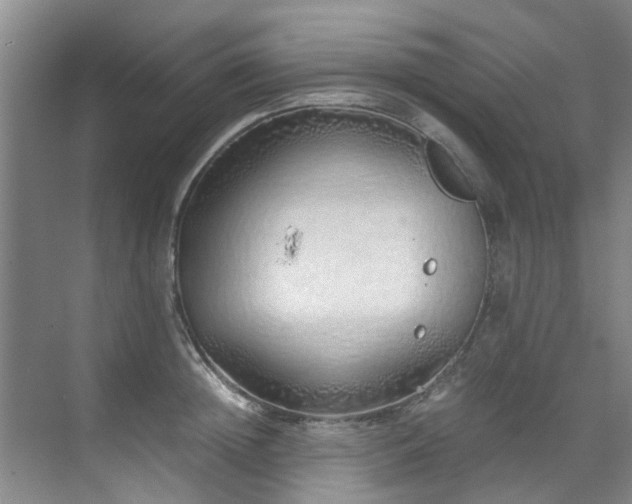 X0000071830852200606301317