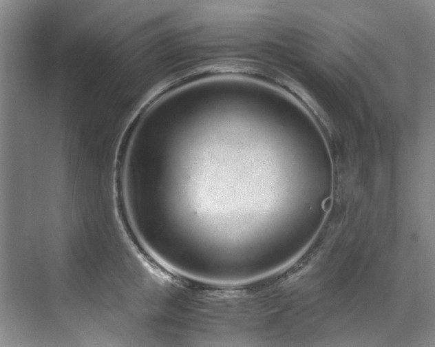 X0000071830853200606301317