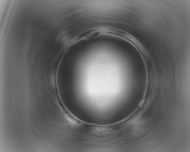 X0000071830857200606301317