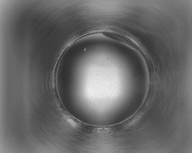 X0000071830858200606301317