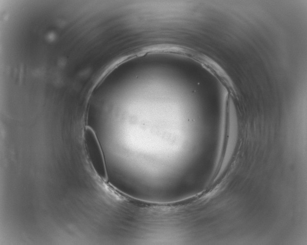 X0000071830860200606301317