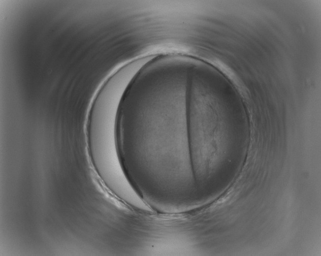 X0000071830864200606301317