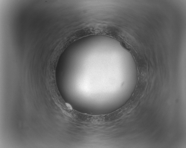 X0000071830865200606301316