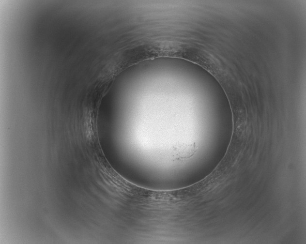 X0000071830866200606301316