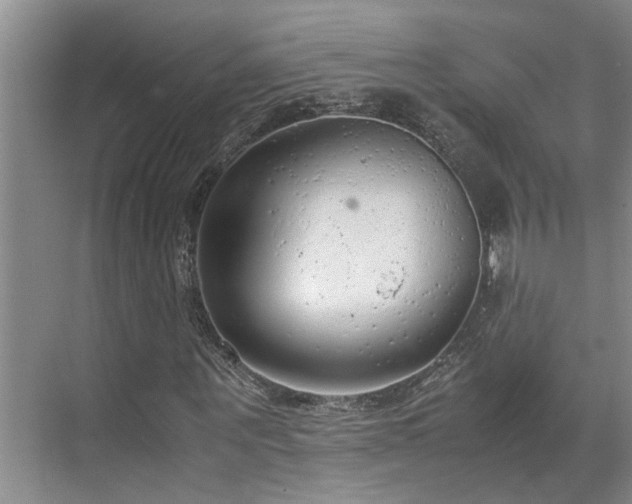 X0000071830867200606301316