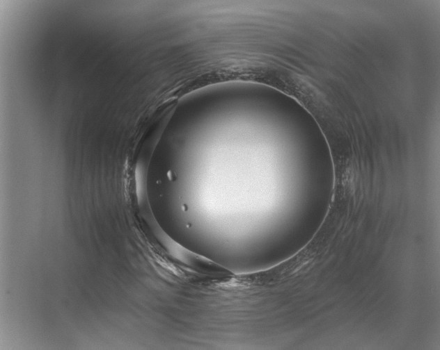 X0000071830868200606301316