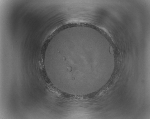 X0000071830871200606301316