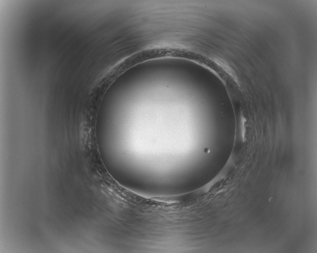 X0000071830872200606301316