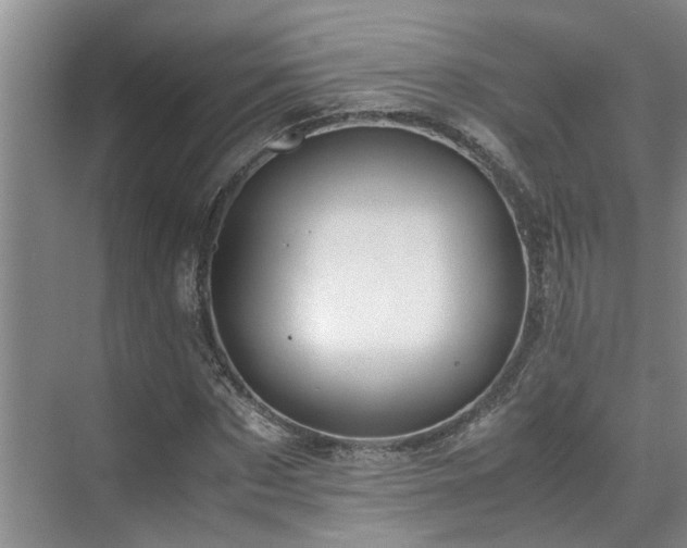 X0000071830873200606301316