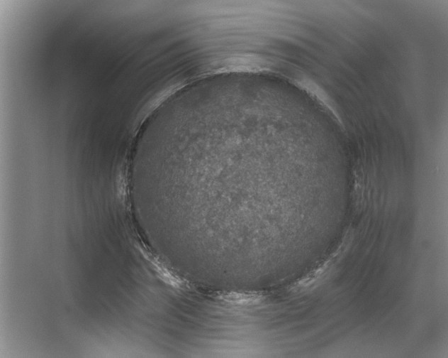 X0000071830874200606301316