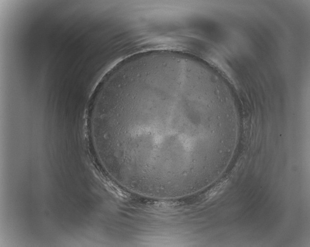 X0000071830875200606301316