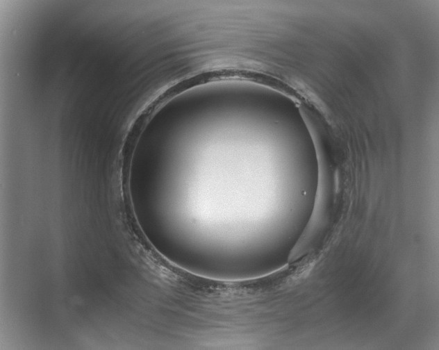 X0000071830877200606301316