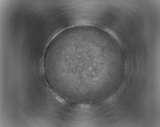 X0000071830878200606301316