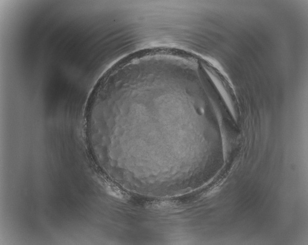 X0000071830879200606301316