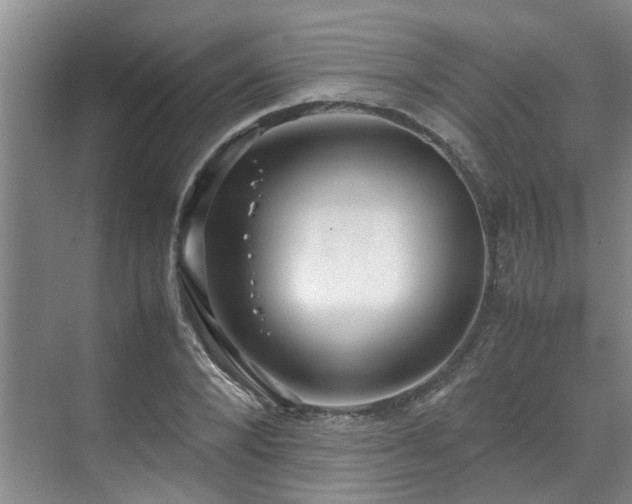 X0000071830880200606301316