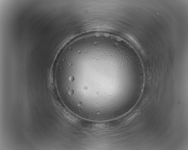 X0000071830883200606301316