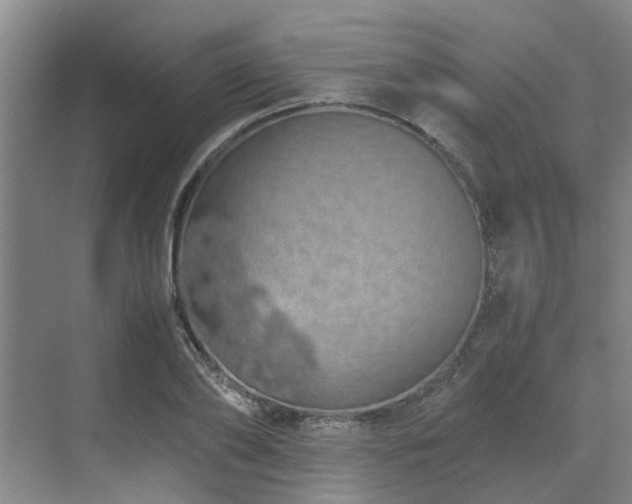 X0000071830886200606301316