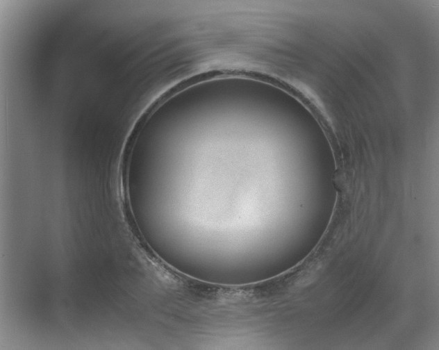 X0000071830887200606301316