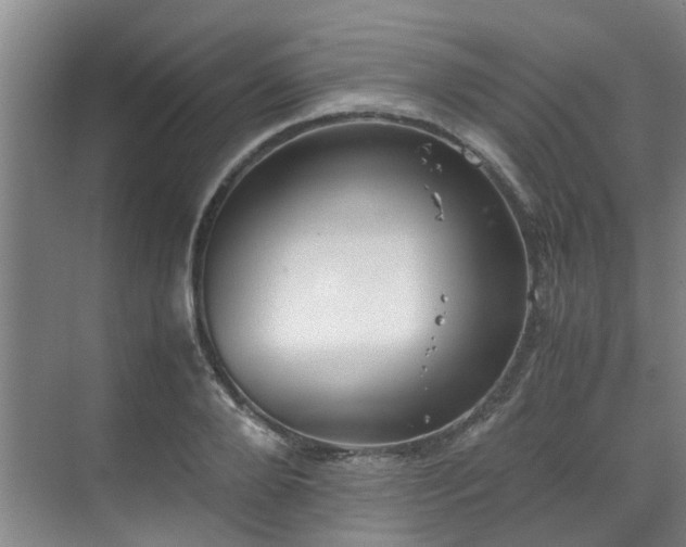 X0000071830888200606301316