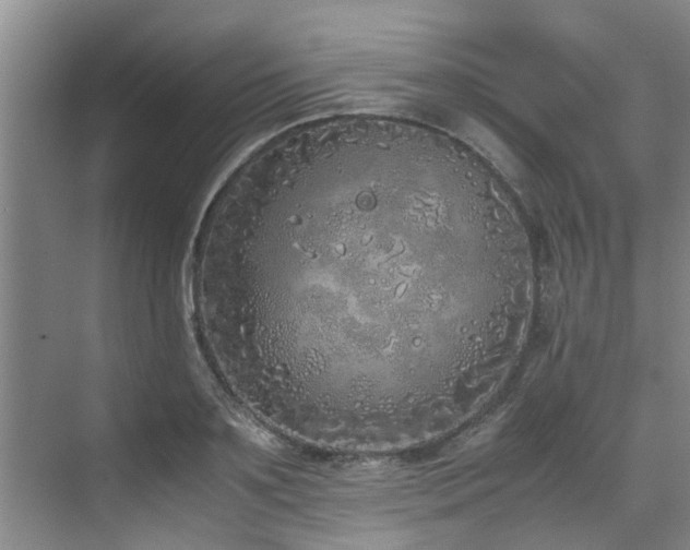 X0000071830891200606301316