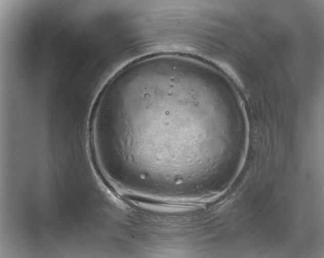 X0000071830895200606301316