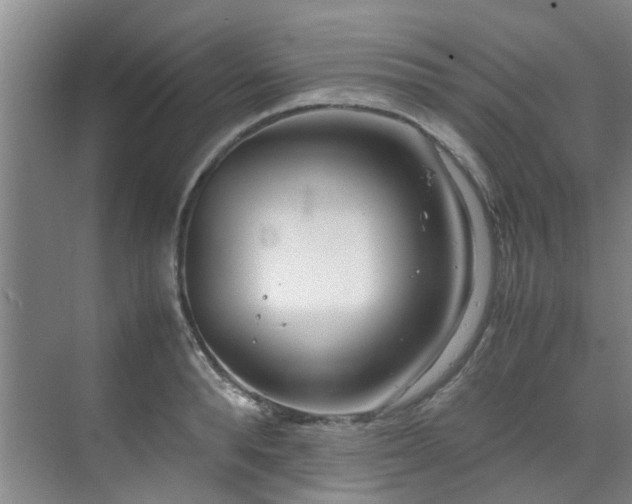 X0000071830896200606301316