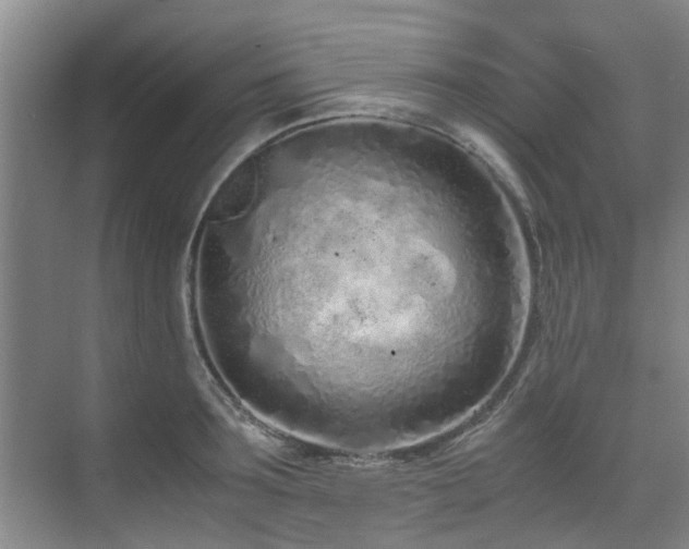 X0000071830899200606301316